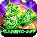 3 Card Fly Game Premium Gaming App