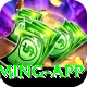 Betandyou King Gaming App
