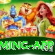 ck999 Royal Gaming App