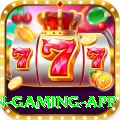iplt20 Champion Gaming App