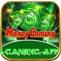 Q5Bet Max Gaming App