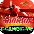 virat Gaming VIP