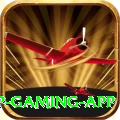 Winli Slots VIP Gaming App